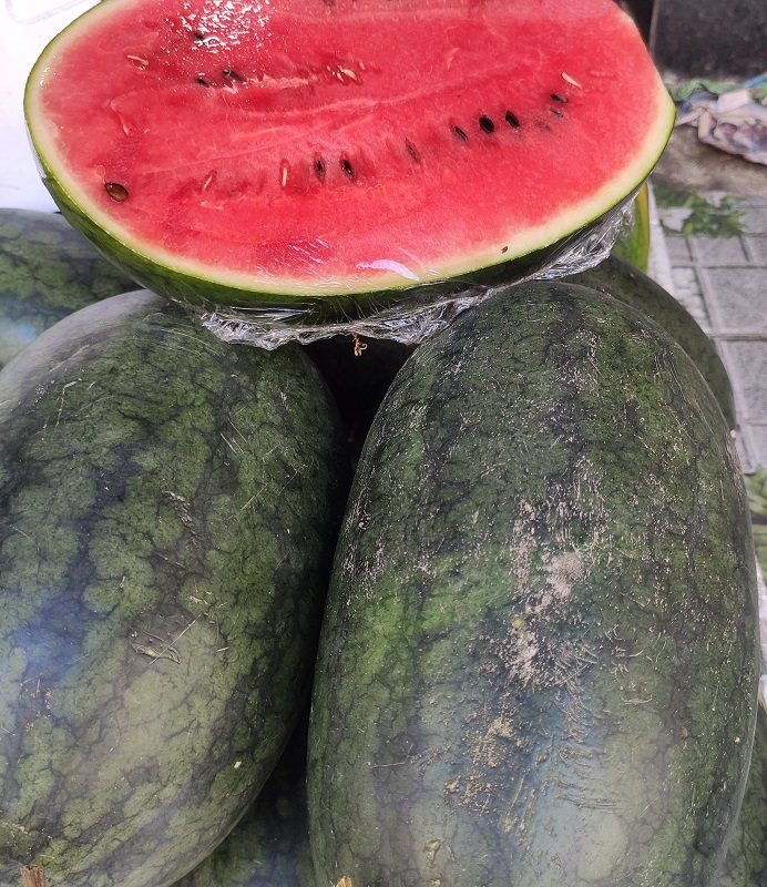 Dưa hấu đỏ (loại dài 3kg/1 trái)